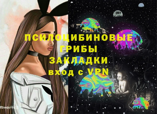 apvp Арсеньев