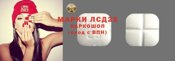 прущие грибы Аркадак