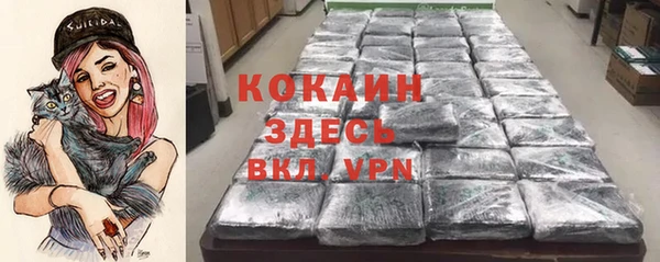 прущие грибы Аркадак