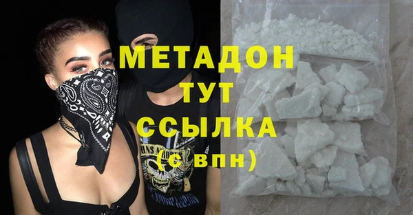 прущие грибы Инта