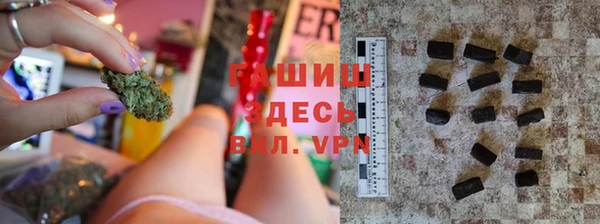 прущие грибы Аркадак