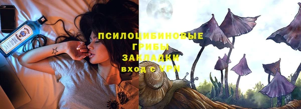 прущие грибы Аркадак