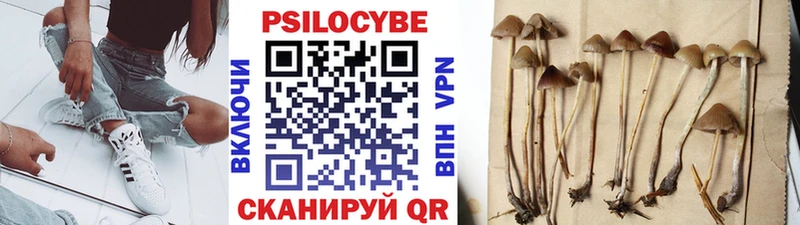 Псилоцибиновые грибы мицелий  цена   Нижние Серги 